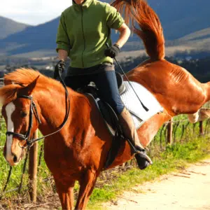 Bucking Horse Kissing Spine