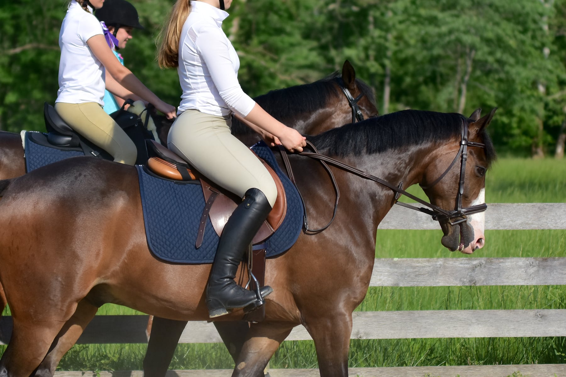 Jumping saddle pad