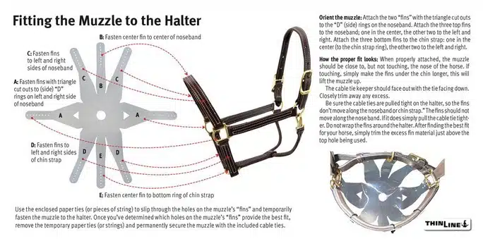 How to fit a grazing muzzle