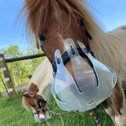 grazing muzzle for ponies