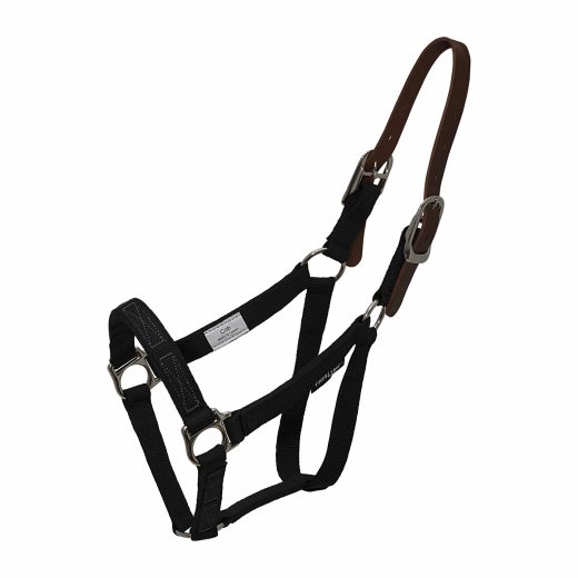 Flexible breakaway halter