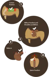 Basic SaddleFit Check at Minimum